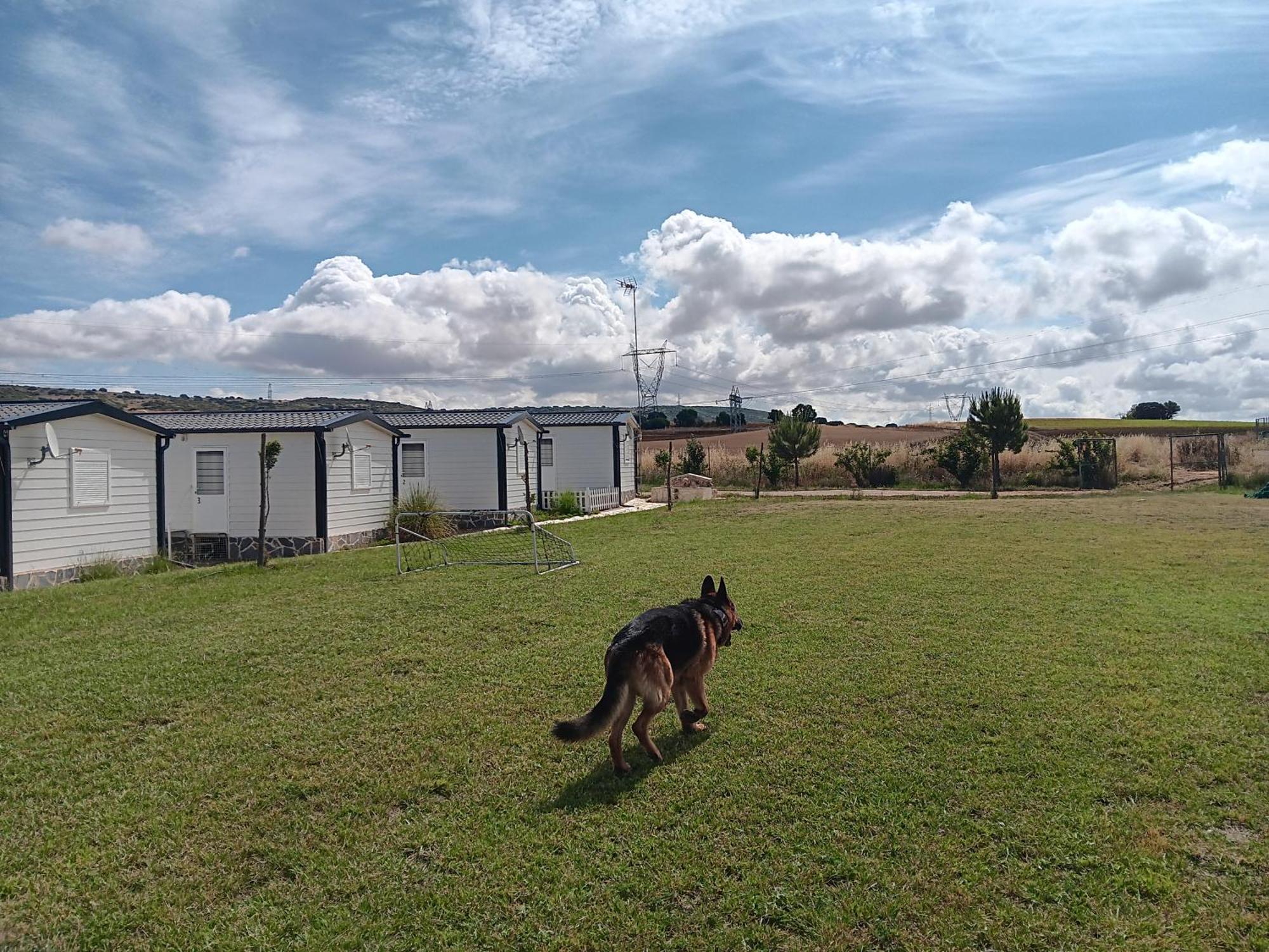 Apartament Era 124 Zafra de Záncara Zewnętrze zdjęcie